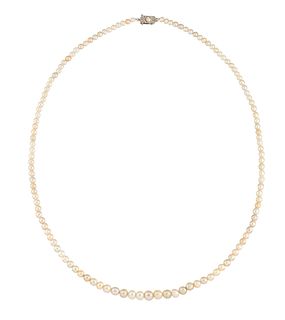 A NATURAL SALTWATER PEARL NECKLACE, the graduated pearls, between 3.5mm - 7