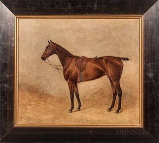 American School, Early 20th Century      Portrait of a Brown Horse
