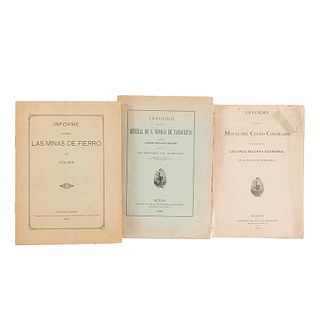 Informe Relativo al Mineral de S. Nicolás de Tamaulipas/Informe sobre las Minas del Cerro Colorado... México, 1890-1914. Pieces: 3.