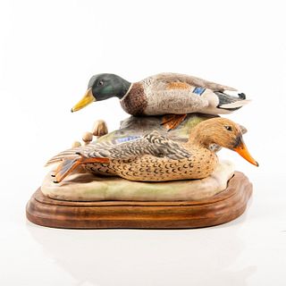 Mallard Duck Nature Scultprture Study In Porcelain