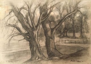 ALBERTO ZIVERI<br>Rome, 1908 - 1990<br><br>Trees, 1924<br>Charcoal and biacca on grey paper, 23 x 32 cm<br>Signed and dated lower: A. Ziveri, 1924<br>