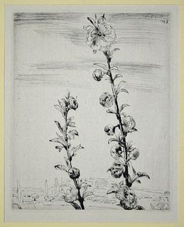 André Jacquemin<br><br>Fiorire, 1949<br>Original drypoint on paper, 39 x 27,5 cm; Passepartout included: 50 x 33.5 cm. <br>Blossom is an original artw