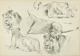 Wilhelm Lorenz<br><br>Sketch of Lions, XX century<br>Drawing in pencil on ivory-colored paper, 28.6 x 41 cm<br>Sketch of Lions is a beautiful original