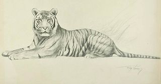 Wilhelm Lorenz<br><br>Tiger, XX Century<br>Disegno a matita su carta color avorio, 46 x 64.7 cm<br>Tiger is a beautiful original drawing in pencil on 