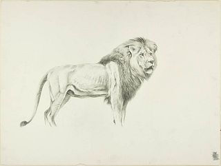 Wilhelm Lorenz<br><br>Profile of a Lion,XX Century<br>Disegno a matita su carta color avorio, 41.9 x 55.8 cm<br>Profile of a Lion is a beautiful origi