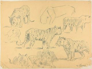 Wilhelm Lorenz<br><br>Studies of Tigers, XX Century<br>Disegno a matita su carta color avorio, 34 x 46 cm<br>Studies of Tigers is a beautiful double-s