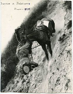 <br><br>A fall from horse, Pinerolo 1935<br>14 x 18 cm<br>Amazing shot of a fall fom horse, Italy 1935. Print on high quality baryta paper, hand writt