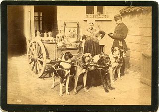 <br><br>Cart pulled by dogs, soldier and norman woman, 1880 circa<br>20 x 14 cm<br>Cart pulled by dogs, soldier and norman woman, 1880 circa. Albumen 