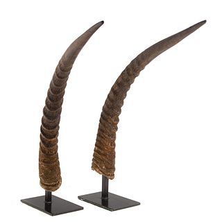 Pair Mounted Antelope Horns