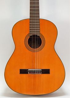 Washburn Model C-40 Acoustic Folk Guitar