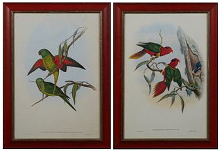 J. Gould and H.C. Richter, "Trichoglossus Chlorolepilodotus," and "Charmosyna Margaritae," 20th c., pair of parrot prints, after the...