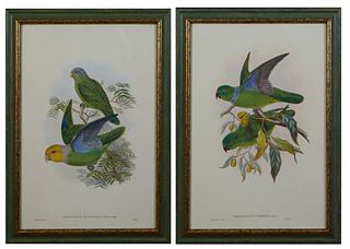 J. Gould and H.C. Richter, "Geoffroyius Simplex," and "Geoffroyius Heteroclitus," 20th c., pair of green parrot prints, after the 19...