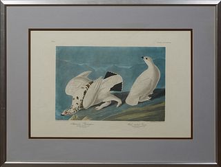 John James Audubon (1785-1851), "American Ptarmigan and White Tailed Grous," No. 84, Plate 418, Amsterdam edition, presented in a wi...