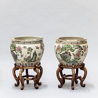 Pair of Chinese Porcelain Fish Bowls on Stained Hardwood Stands.