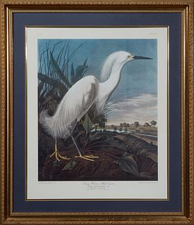 John James Audubon (1785-1851), "Snowy Heron or White Egret," No. 49, Plate 262, 20th c., edition unknown, presented in a gilt frame with a blue mat, 
