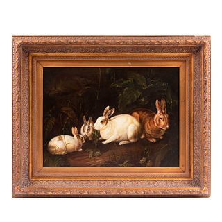 Borofsky. Conejos. Óleo sobre tela. Enmarcada. 43 x 58 cm