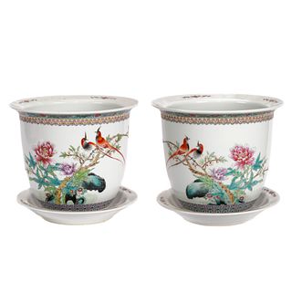 Pair of Famille Rose Planters and Trays, Second Half 20th Century