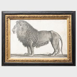English School: A Pair of Lions: and Zebra