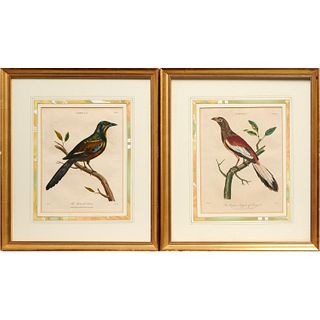 J. Pass, pair ornithological engravings