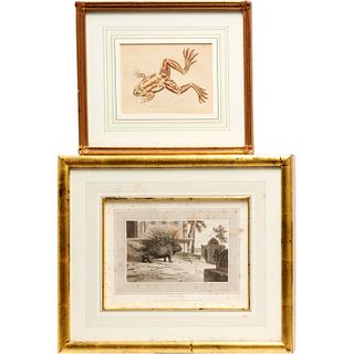 Pair of framed 18th/19th c. engravings