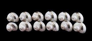 SET, 12 SEASHELL & SILVER PLACE CARD HOLDERS
