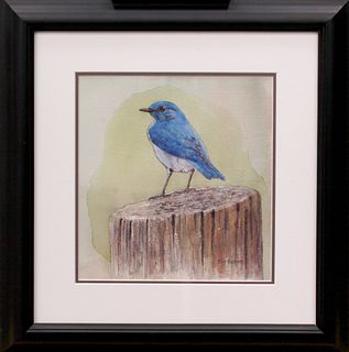 Joy Keown, Mountain Bluebird