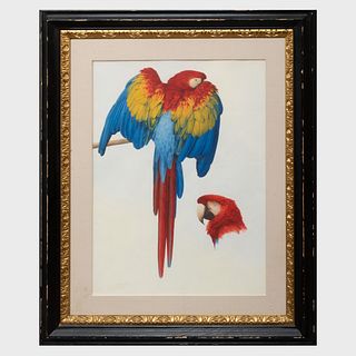 Elizabeth Butterworth (b. 1949): Parrots