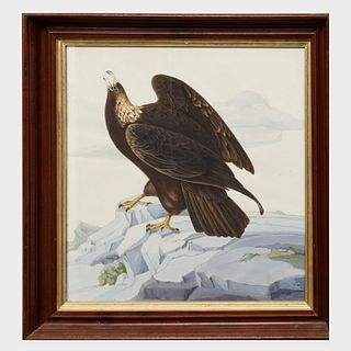  C.O. Godwin: Eagle