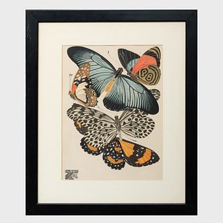 Emile Alain SÃ©guy (1877-1951): Papillons, from Papillons Portfolio
