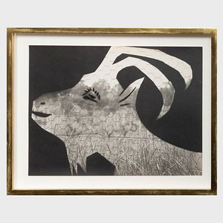Pablo Picasso (1881-1973) and AndrÃ© Villers (1930-2016): Diurnes: DÃ©coupages et photographies