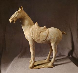 Tang Dyn. Pottery Horse With Saddle, Of The Period.