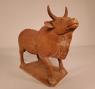 TL Tested,Tang/Northern Qi Very Large  Pottery Bull