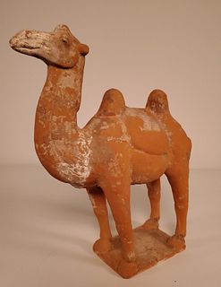 Chinese Tang Dynasty pottery standing Bactrian camel