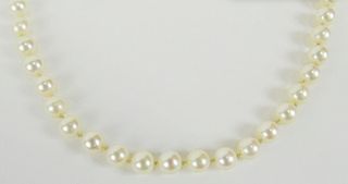 Vintage Mikimoto pearl necklace with box.
