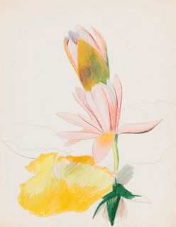 Joseph Stella
(American, 1877-1946)
Two Magenta Waterlilies, c. 1930