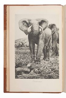 CHAPMAN, Abel (1851-1929). On Safari. London: Edward Arnold, 1908. 