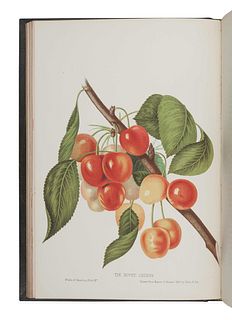HOVEY, Charles Mason (1810-1887). The Fruits of America, containing richly colored figures and full descriptions of all the choicest varieties cultiva