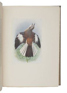 HUDSON, William Henry (1841-1922). The Birds of La Plata. London, Toronto, and New York: J.M. Dent & Sons and E.P. Dutton & Co., 1920.