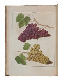 KNOOP, Johann Hermann (ca 1706-1769). Pomologie, ou Description des Meilleures Sortes de Pommes et de Poires. [Bound with:] Fructologie, ou Descriptio