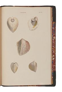 WOOD, William (1774-1857).  General Conchology; or a Description of Shells, arranged according to the Linnean System. London: for John Booth, 1835.