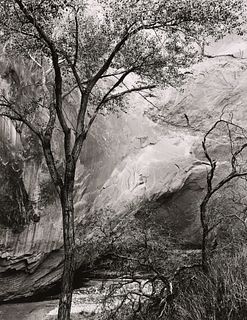 BRETT WESTON - Glen Canyon, Utah, 1959
