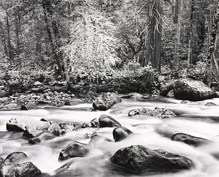 JOHN SEXTON - Merced River and Forest, Yosemite, 1983