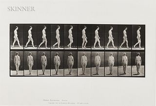 Eadweard Muybridge (British, 1830-1904)      Plate 15 (Nude Woman Walking)