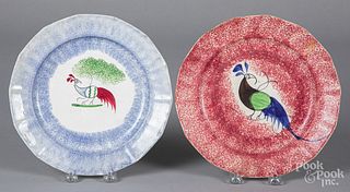Two spatter plates