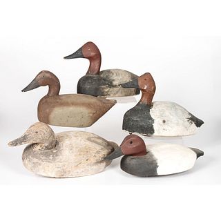 Five Canvasback Duck Decoys