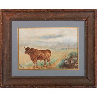 An American Portrait of a Bull