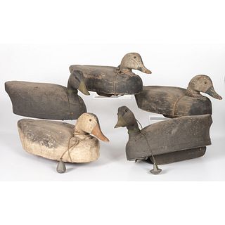 Five Large Working Duck Decoys