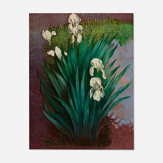 Morris Kantor, White Irises