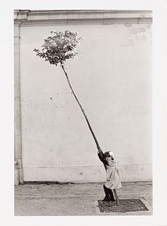 Sabine Weiss (1924)  - Petite fille, petit arbre, Espagne, 1981