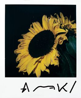 Nobuyoshi Araki (1940)  - Sunflower, years 2000